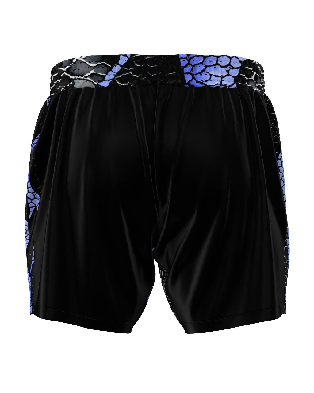 NORWILD BLACK Premium Grappling Shorts
